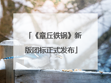 《章丘铁锅》新版团标正式发布