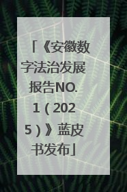 《安徽数字法治发展报告NO.1（2025）》蓝皮书发布