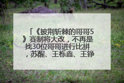 《披荆斩棘的哥哥5》赛制将大改，不再是找30位哥哥进行比拼，苏醒、王栎鑫、王铮亮、张远等多名男团选手被曝将参加