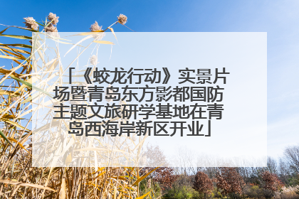 《蛟龙行动》实景片场暨青岛东方影都国防主题文旅研学基地在青岛西海岸新区开业