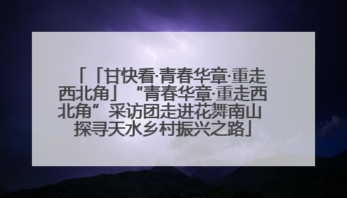 「甘快看·青春华章·重走西北角」“青春华章·重走西北角”采访团走进花舞南山 探寻天水乡村振兴之路