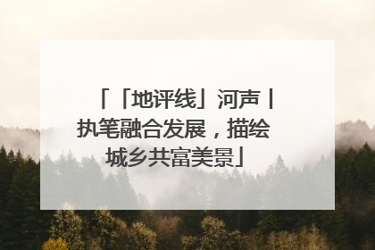 「地评线」河声丨执笔融合发展，描绘城乡共富美景