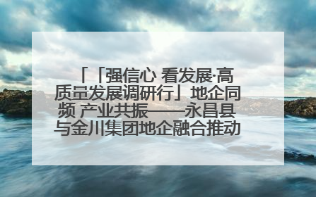 「强信心 看发展·高质量发展调研行」地企同频 产业共振——永昌县与金川集团地企融合推动重大项目建设