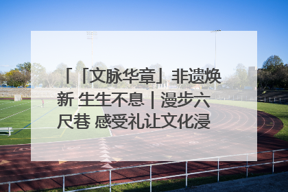 「文脉华章」非遗焕新 生生不息｜漫步六尺巷 感受礼让文化浸润的“巷”往生活