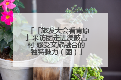 「旅发大会看青原」采访团走进渼陂古村 感受文旅融合的独特魅力（图）