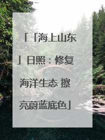 「海上山东」日照：修复海洋生态 擦亮蔚蓝底色
