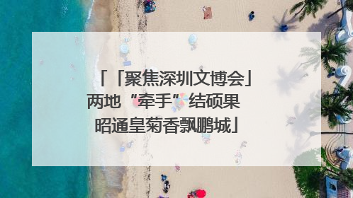 「聚焦深圳文博会」两地“牵手”结硕果 昭通皇菊香飘鹏城