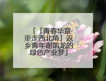 「青春华章·重走西北角」返乡青年谢凯龙的绿色产业梦