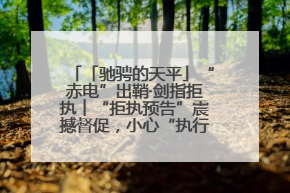 「驰骋的天平」“赤电”出鞘·剑指拒执︱“拒执预告”震撼督促，小心“执行”变“执刑”