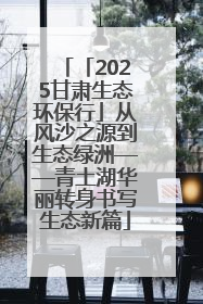 「2025甘肃生态环保行」从风沙之源到生态绿洲——青土湖华丽转身书写生态新篇