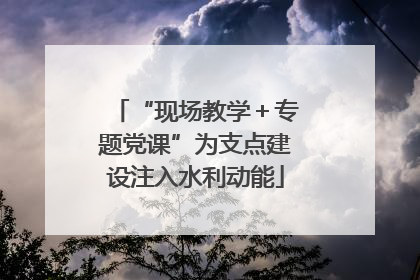 “现场教学＋专题党课”为支点建设注入水利动能