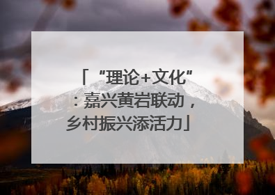 “理论+文化”：嘉兴黄岩联动，乡村振兴添活力