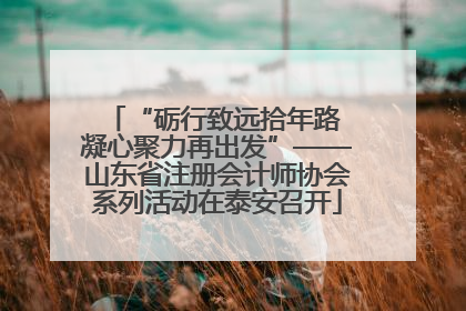 “砺行致远拾年路 凝心聚力再出发”——山东省注册会计师协会系列活动在泰安召开