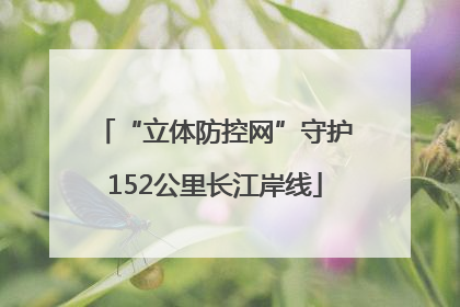 “立体防控网”守护152公里长江岸线