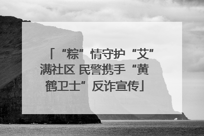 “粽”情守护“艾”满社区 民警携手“黄鹤卫士”反诈宣传