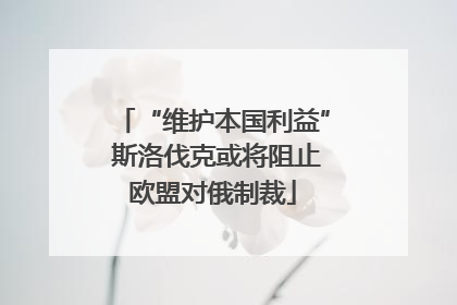 “维护本国利益” 斯洛伐克或将阻止欧盟对俄制裁