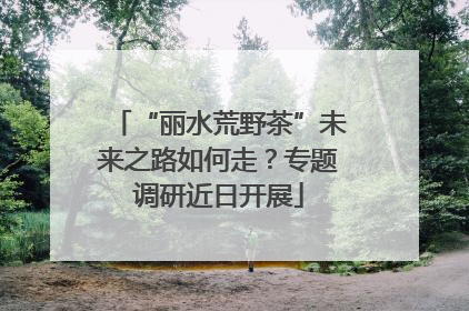 “丽水荒野茶”未来之路如何走？专题调研近日开展