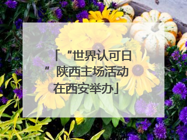 “世界认可日”陕西主场活动在西安举办