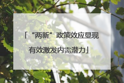 “两新”政策效应显现 有效激发内需潜力