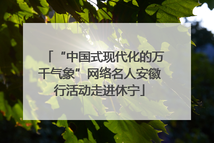 “中国式现代化的万千气象”网络名人安徽行活动走进休宁