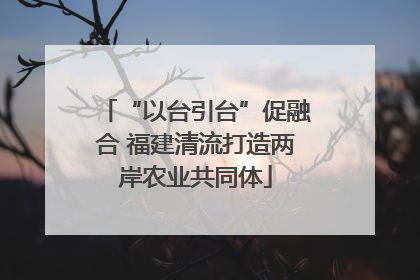 “以台引台”促融合 福建清流打造两岸农业共同体