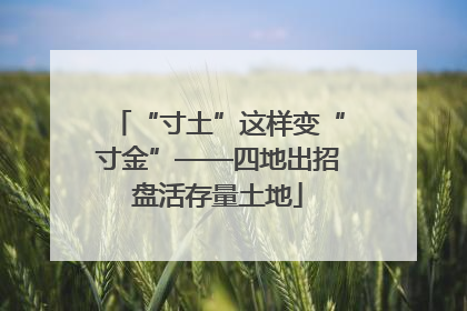 “寸土”这样变“寸金”——四地出招盘活存量土地