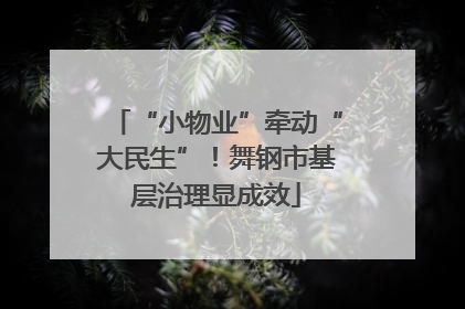 “小物业”牵动“大民生”！舞钢市基层治理显成效