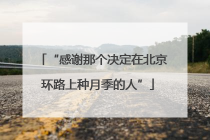 “感谢那个决定在北京环路上种月季的人”