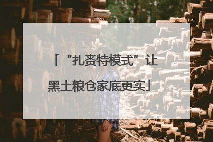 “扎赉特模式”让黑土粮仓家底更实