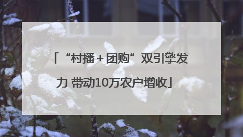 “村播＋团购”双引擎发力 带动10万农户增收