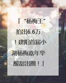 “杨梅王”拍出6.6万！建阳首届小湖杨梅嘉年华酸甜出圈！