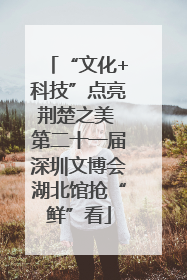 “文化+科技”点亮荆楚之美 第二十一届深圳文博会湖北馆抢“鲜”看