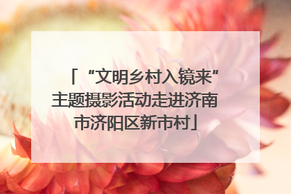 “文明乡村入镜来”主题摄影活动走进济南市济阳区新市村