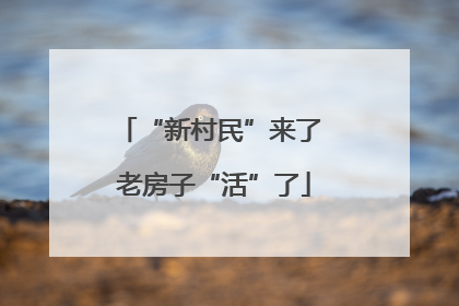 “新村民”来了 老房子“活”了