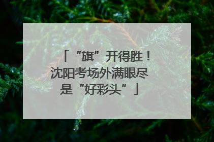 “旗”开得胜！沈阳考场外满眼尽是“好彩头”