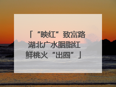 “映红”致富路 湖北广水胭脂红鲜桃火“出圈”