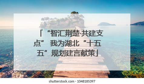 “智汇荆楚·共建支点” 我为湖北“十五五”规划建言献策