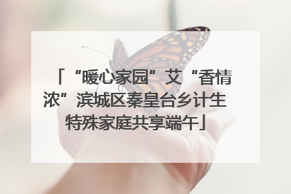 “暖心家园”艾“香情浓”滨城区秦皇台乡计生特殊家庭共享端午