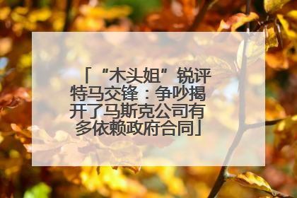 “木头姐”锐评特马交锋：争吵揭开了马斯克公司有多依赖政府合同