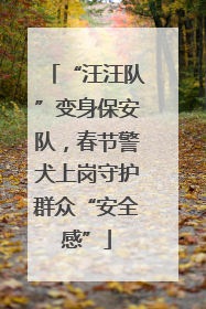 “汪汪队”变身保安队，春节警犬上岗守护群众“安全感”