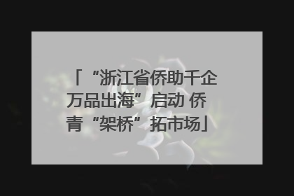 “浙江省侨助千企万品出海”启动 侨青“架桥”拓市场