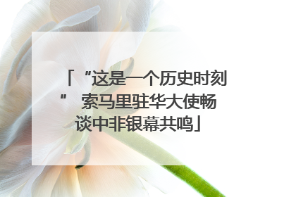 “这是一个历史时刻” 索马里驻华大使畅谈中非银幕共鸣
