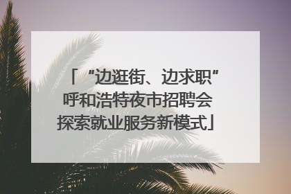 “边逛街、边求职” 呼和浩特夜市招聘会探索就业服务新模式