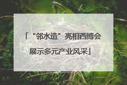 “邻水造”亮相西博会 展示多元产业风采