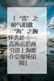 “青”之朝气相邀 “海”之胸怀奔赴——青海省招商引资上海推介会现场见闻