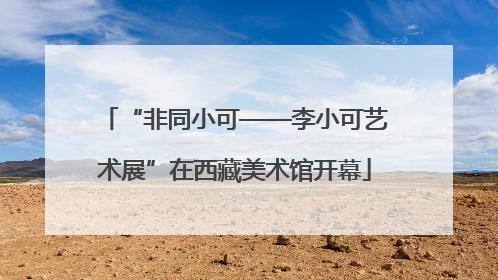 “非同小可——李小可艺术展”在西藏美术馆开幕