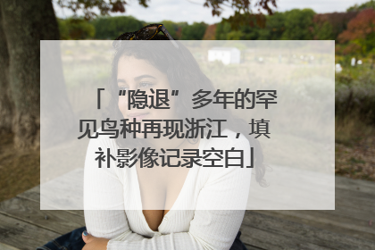 “隐退”多年的罕见鸟种再现浙江，填补影像记录空白