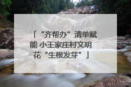 “齐帮办”清单赋能 小王家庄村文明花“生根发芽”