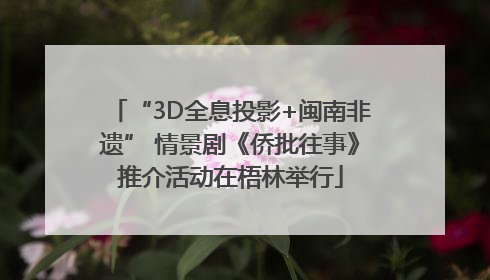 “3D全息投影+闽南非遗” 情景剧《侨批往事》推介活动在梧林举行