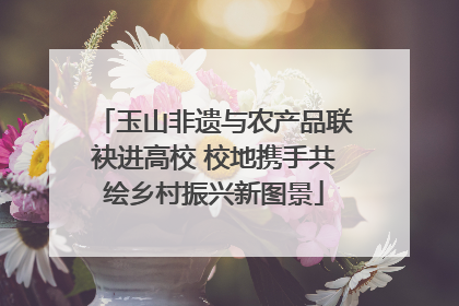 玉山非遗与农产品联袂进高校 校地携手共绘乡村振兴新图景